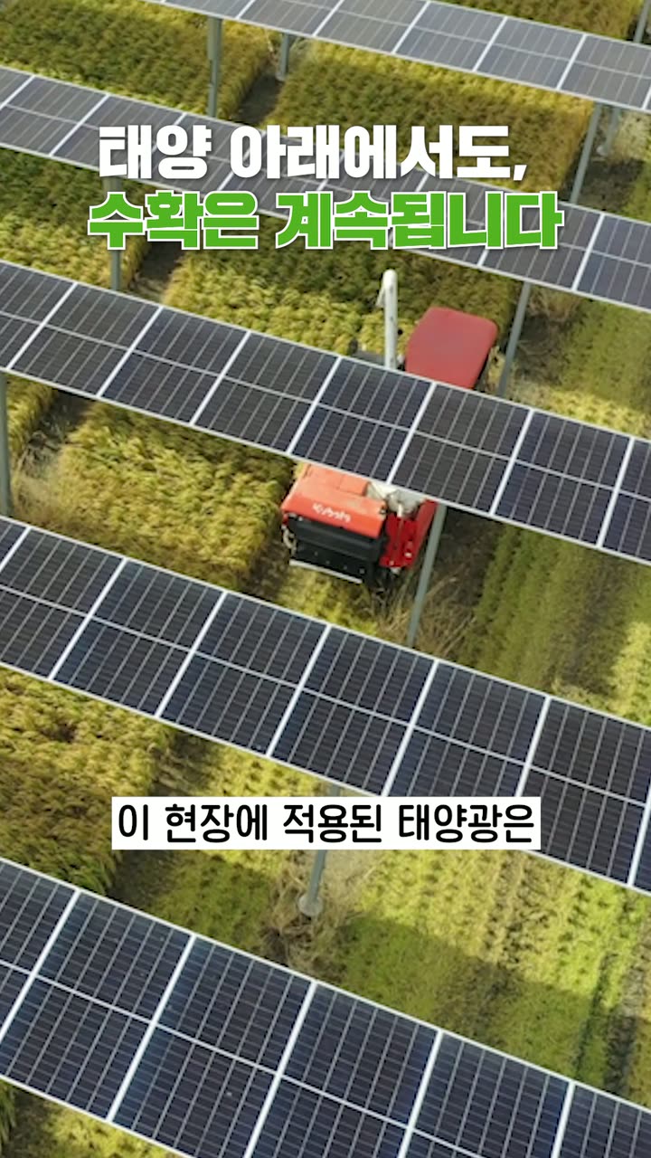 파루 브랜드 소개 쇼츠 — 브랜드·서비스 쇼츠·릴스 편집 제작 사례