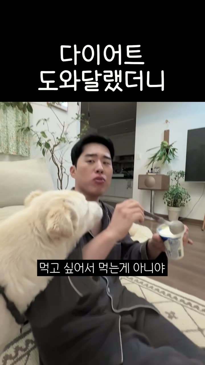 김씨네 쇼츠 편집 — 유튜버·콘텐츠 쇼츠·릴스 편집 제작 사례