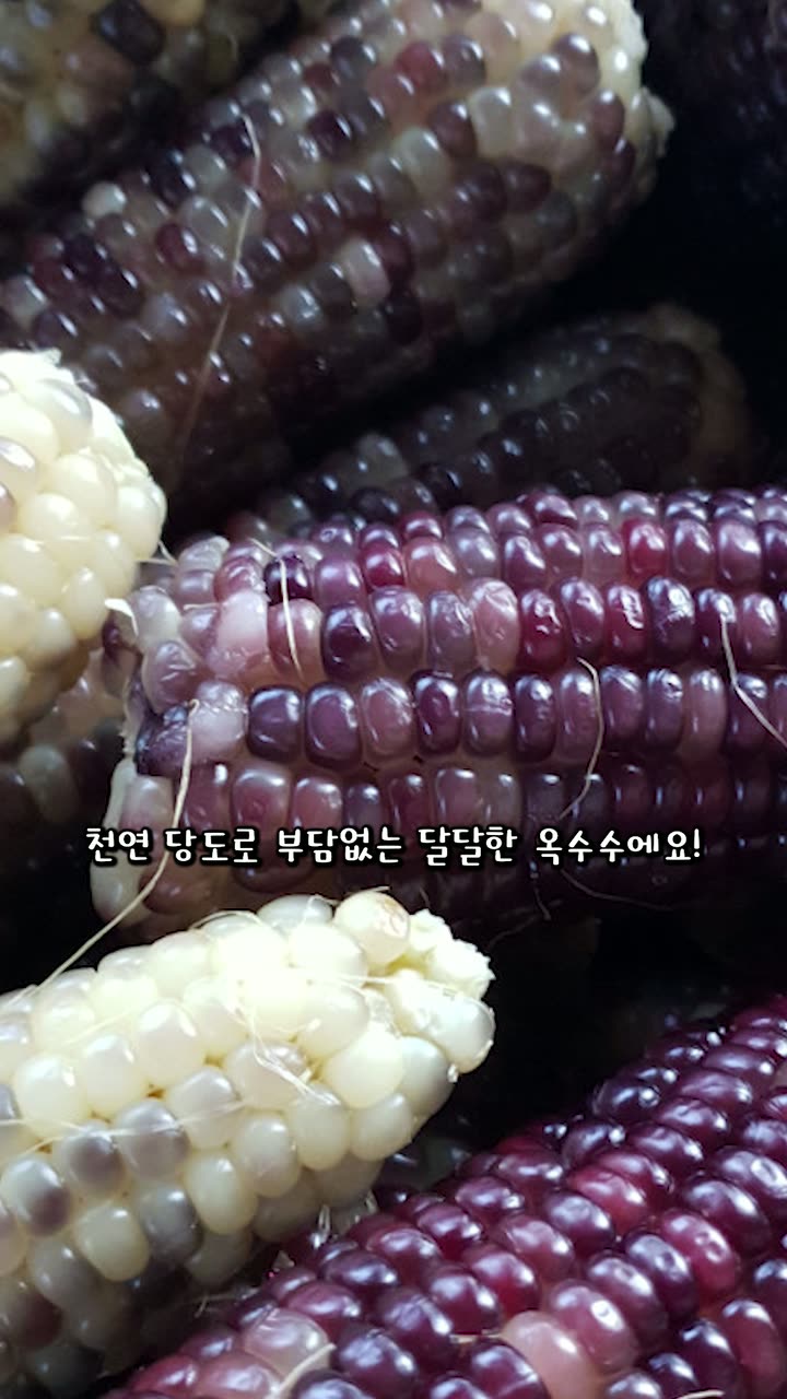 메이크스탠다드 매장 홍보 숏폼 — 푸드·외식 쇼츠·릴스 편집 제작 사례