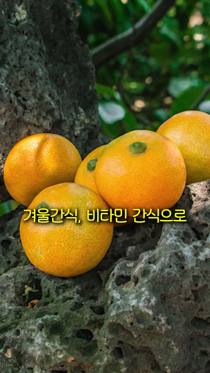 메이크스탠다드 매장 홍보 숏폼 — 푸드·외식 쇼츠·릴스 편집 제작 사례