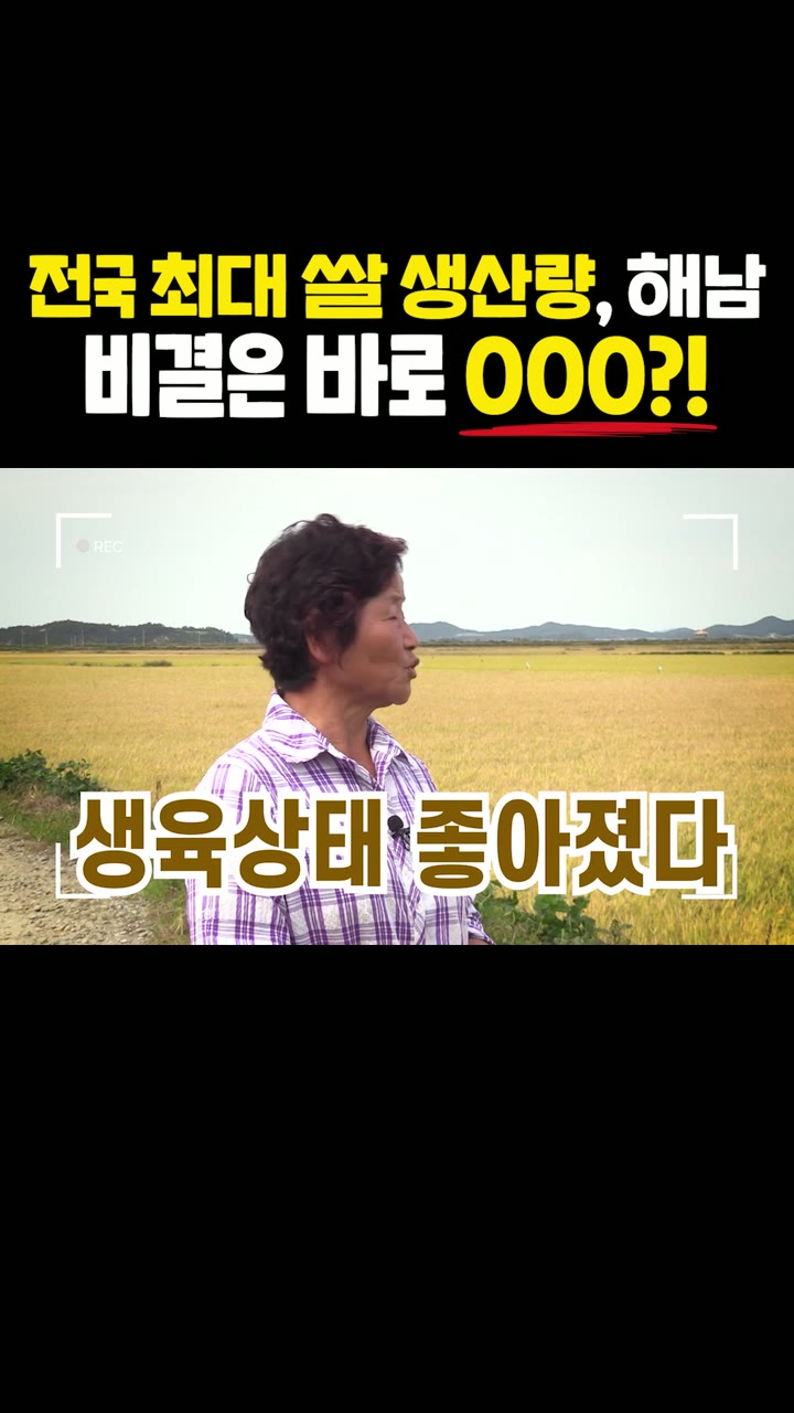 해남군 지자체 홍보 쇼츠 — 기업·공공기관 쇼츠·릴스 편집 제작 사례