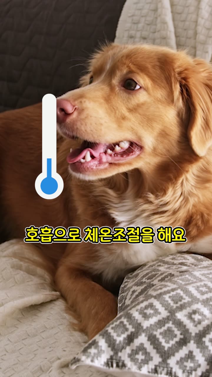 시리얼 병원 홍보 쇼츠 — 병원·의료 쇼츠·릴스 편집 제작 사례