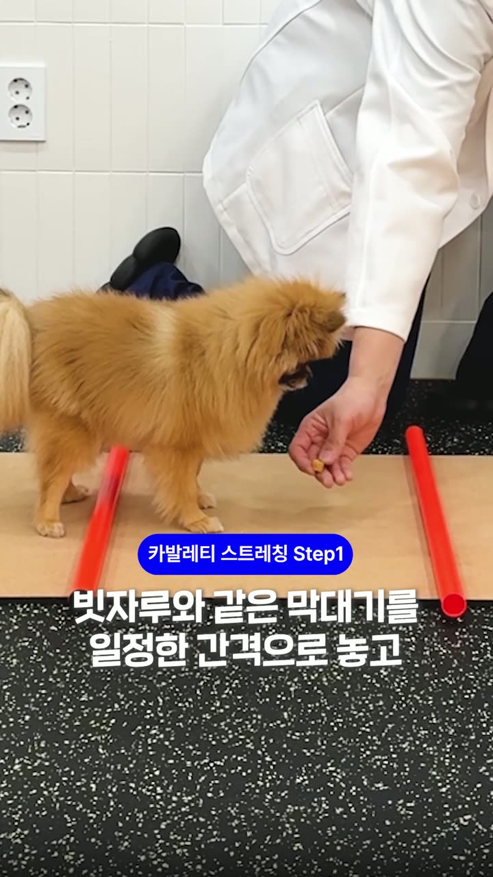 시리얼 진료 안내 쇼츠 — 병원·의료 쇼츠·릴스 편집 제작 사례