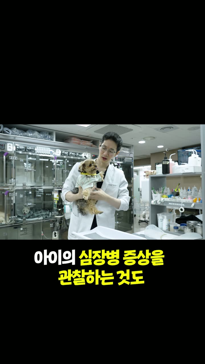 시리얼 병원 홍보 쇼츠 — 병원·의료 쇼츠·릴스 편집 제작 사례