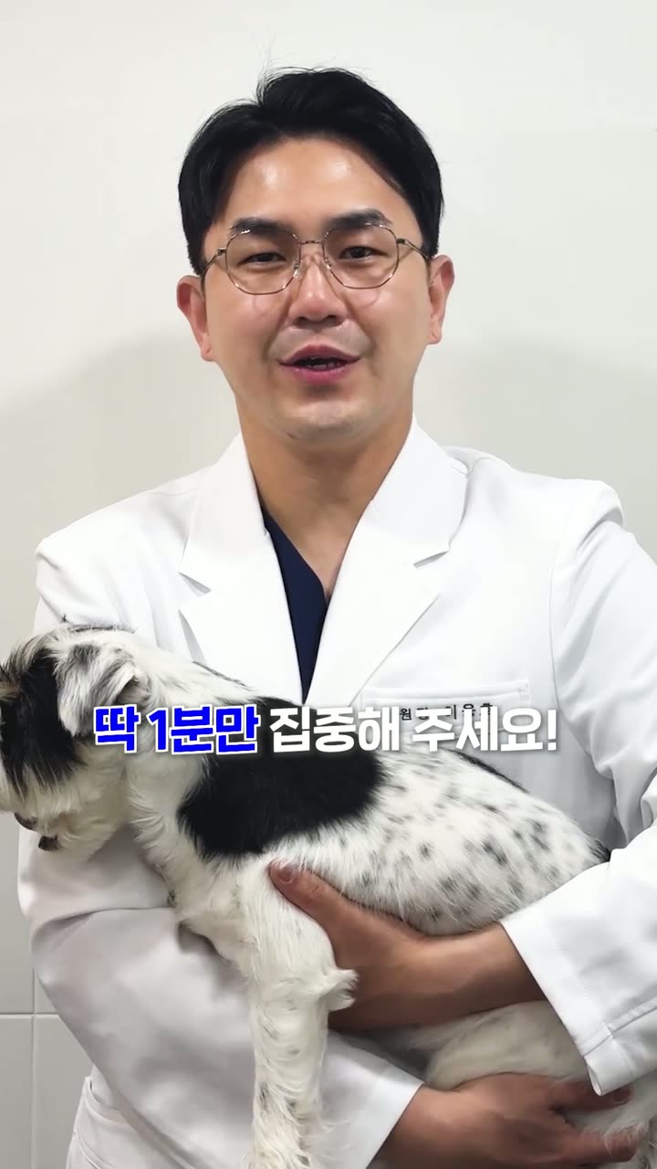 시리얼 병원 홍보 쇼츠 — 병원·의료 쇼츠·릴스 편집 제작 사례