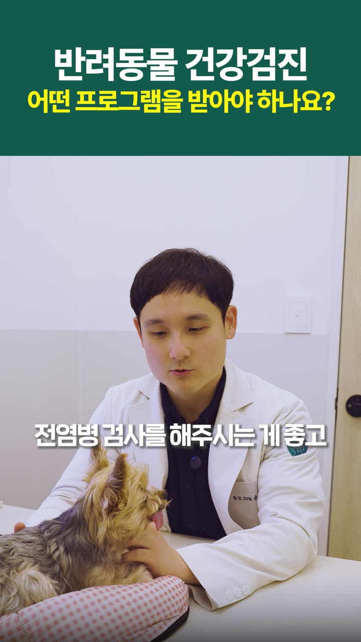 시리얼 진료 안내 쇼츠 — 병원·의료 쇼츠·릴스 편집 제작 사례