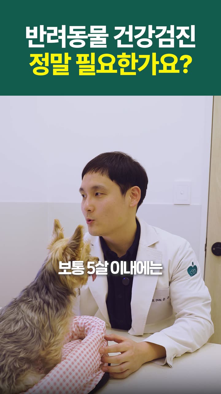 시리얼 시술 안내 숏폼 — 병원·의료 쇼츠·릴스 편집 제작 사례
