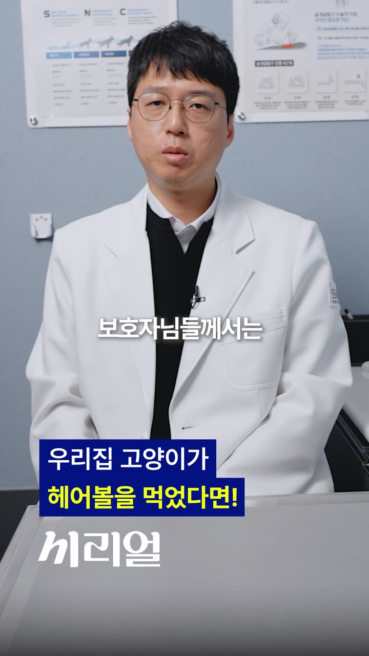 시리얼 원장 인터뷰 쇼츠 — 병원·의료 쇼츠·릴스 편집 제작 사례