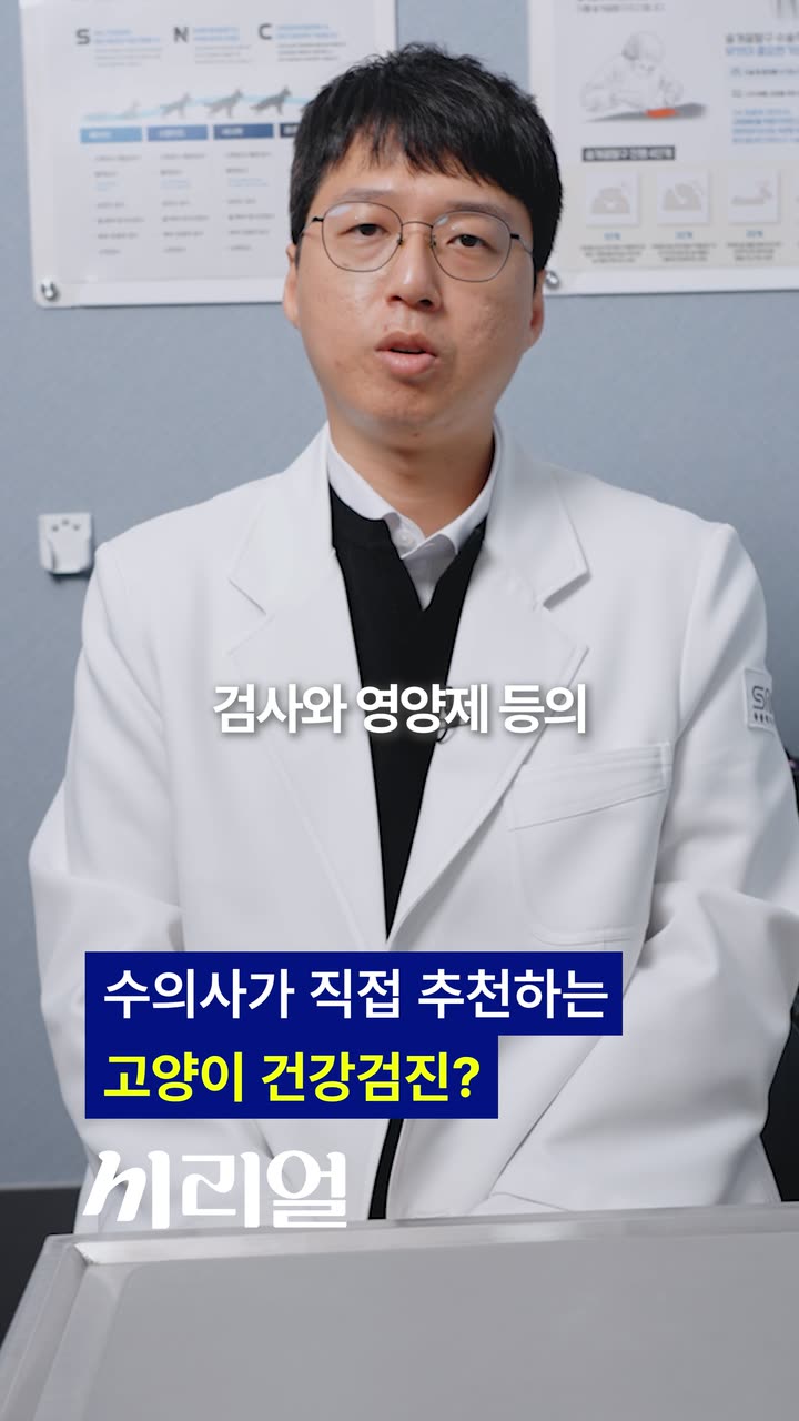 시리얼 의료 브랜드 숏폼 — 병원·의료 쇼츠·릴스 편집 제작 사례