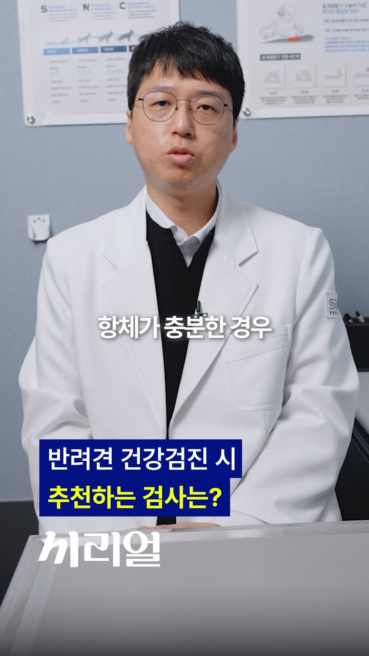 시리얼 진료 안내 쇼츠 — 병원·의료 쇼츠·릴스 편집 제작 사례