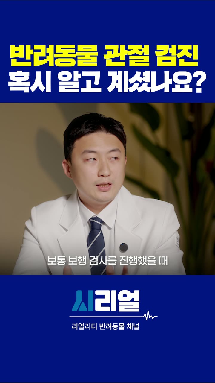 시리얼 시술 안내 숏폼 — 병원·의료 쇼츠·릴스 편집 제작 사례