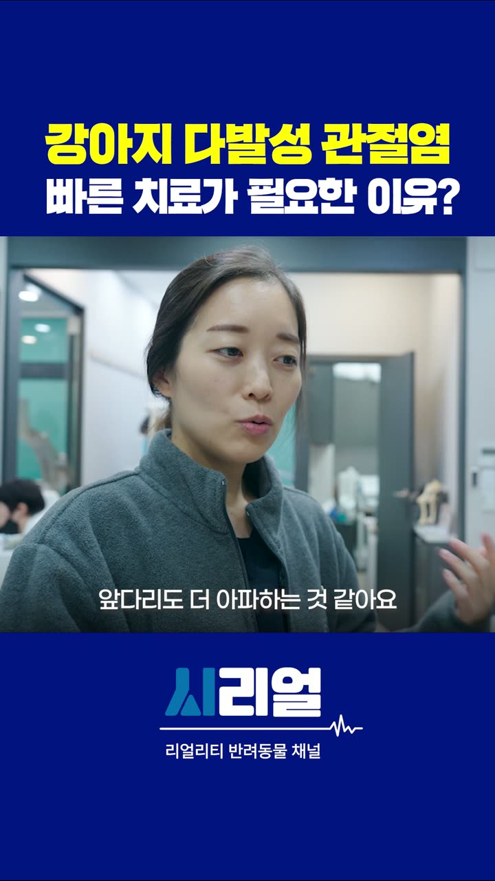 시리얼 의료 브랜드 숏폼 — 병원·의료 쇼츠·릴스 편집 제작 사례