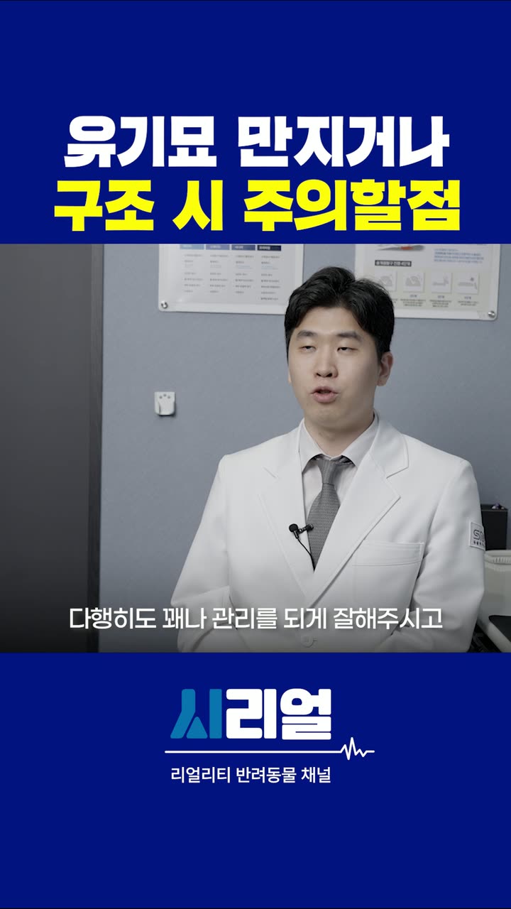 시리얼 병원 홍보 쇼츠 — 병원·의료 쇼츠·릴스 편집 제작 사례