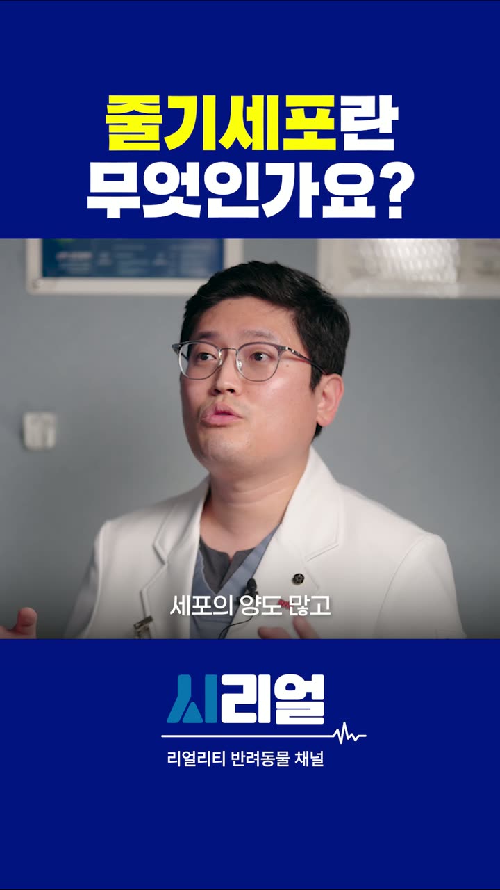 시리얼 진료 안내 쇼츠 — 병원·의료 쇼츠·릴스 편집 제작 사례