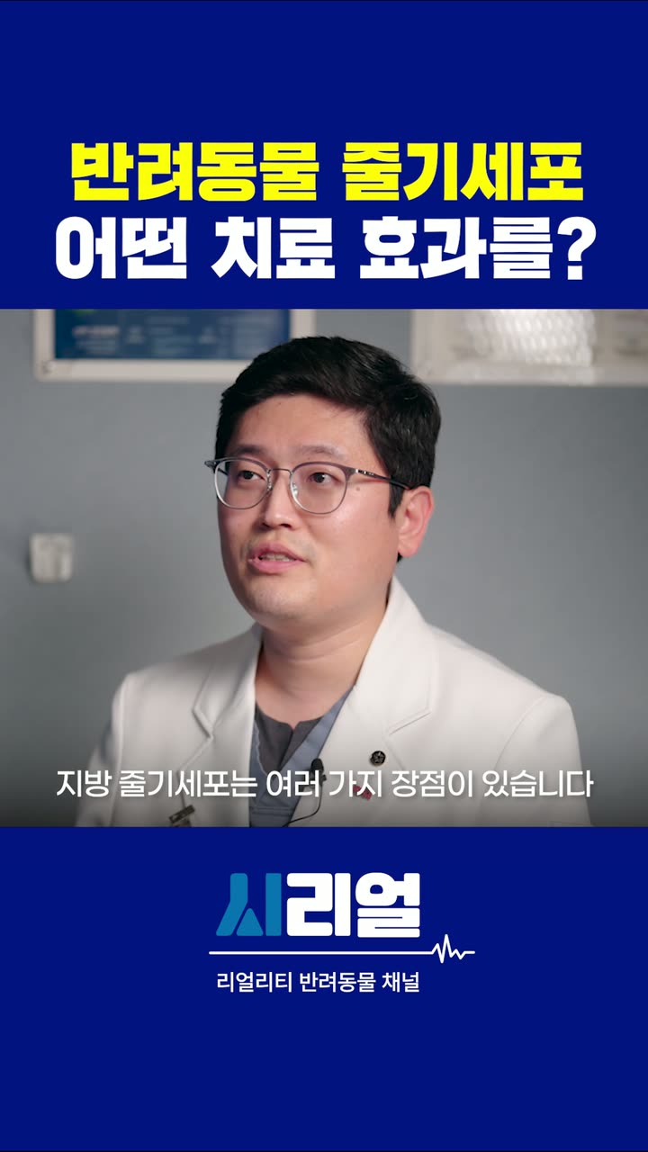 시리얼 시술 안내 숏폼 — 병원·의료 쇼츠·릴스 편집 제작 사례