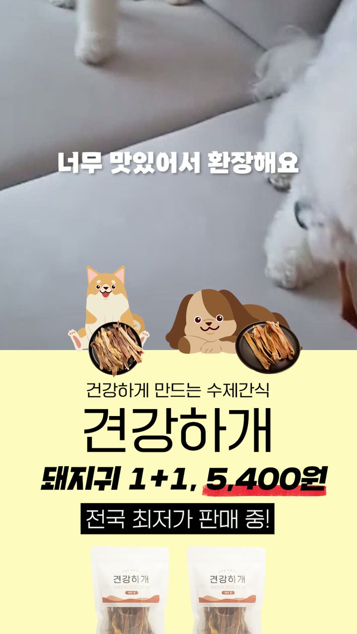 반려동물 브랜드 반려동물 브랜드 쇼츠 — 제품·커머스 쇼츠·릴스 편집 제작 사례