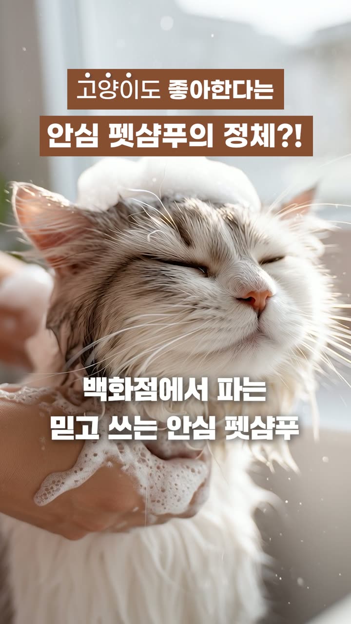보다더 커머스 전환형 쇼츠 — 제품·커머스 쇼츠·릴스 편집 제작 사례