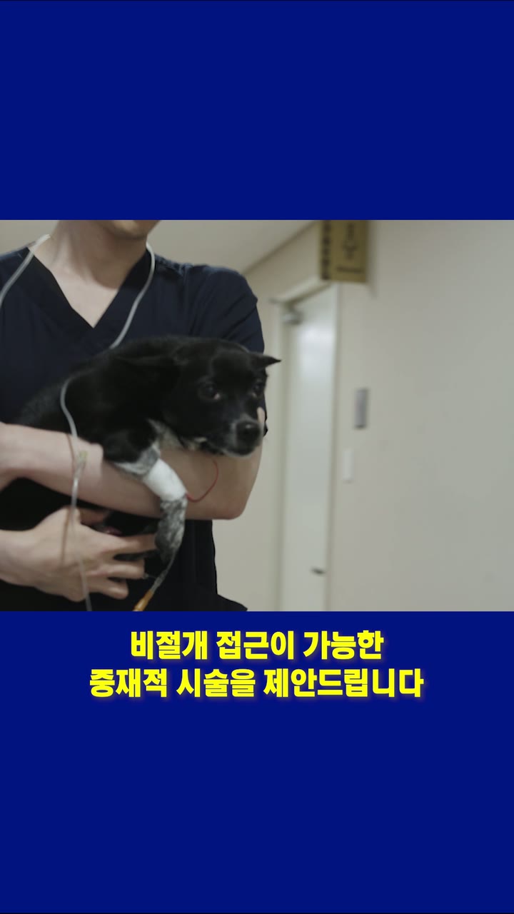 시리얼 의원 의료 브랜드 쇼츠 — 병원·의료 쇼츠·릴스 편집 제작 사례